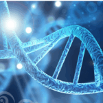 Bewusstsein und Struktur brauchen einander