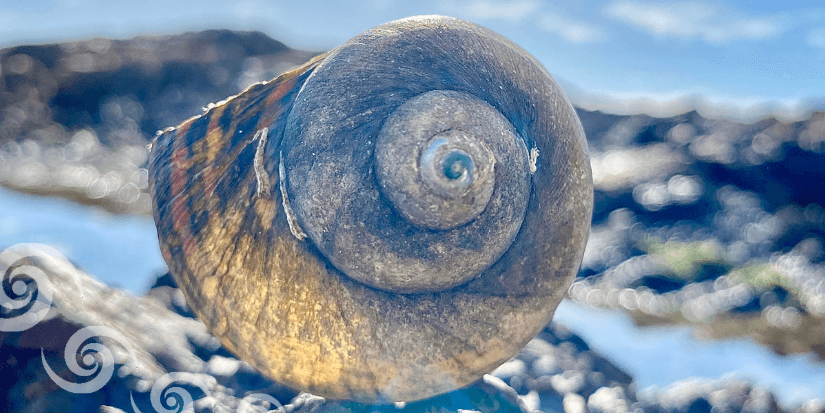 Die Ahnen leben in uns weiter