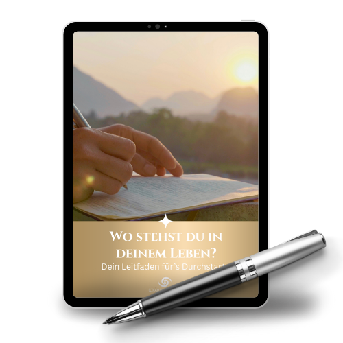 eBook Die Kunst der Krisenabkuerzung