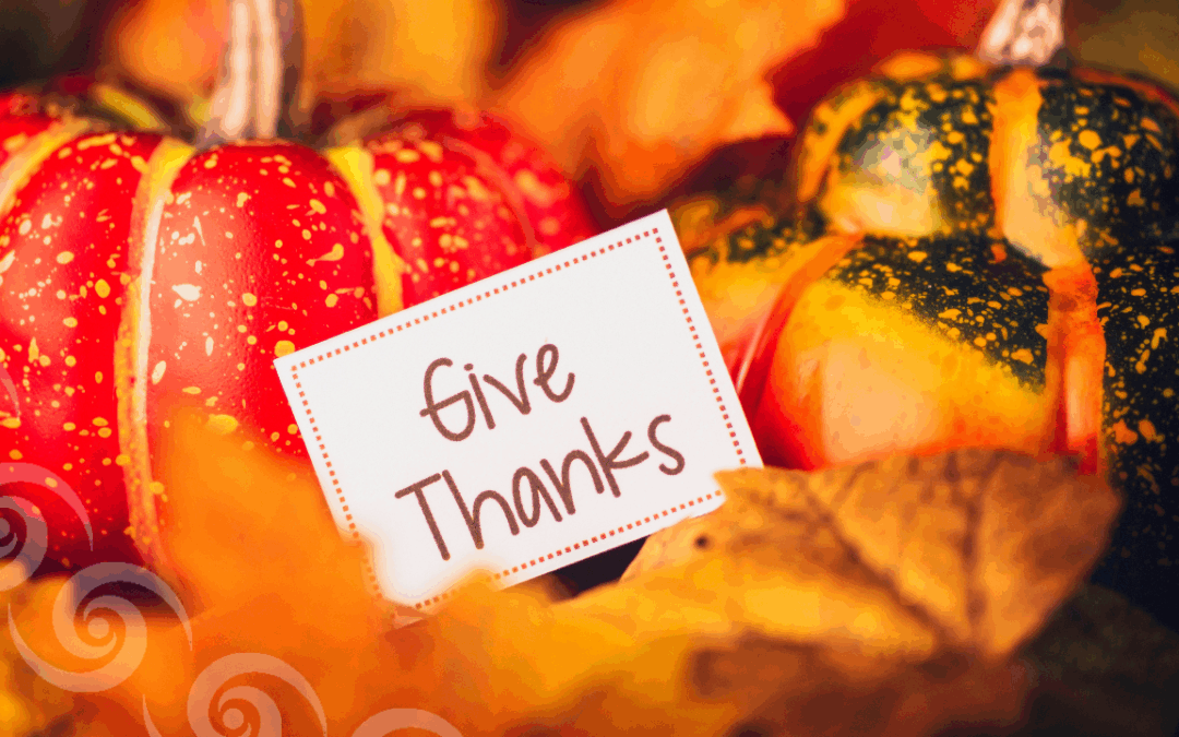 Thanksgiving – Die stille Kunst, trotz allem dankbar zu sein