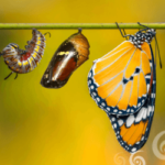 Transformation statt verdrängen