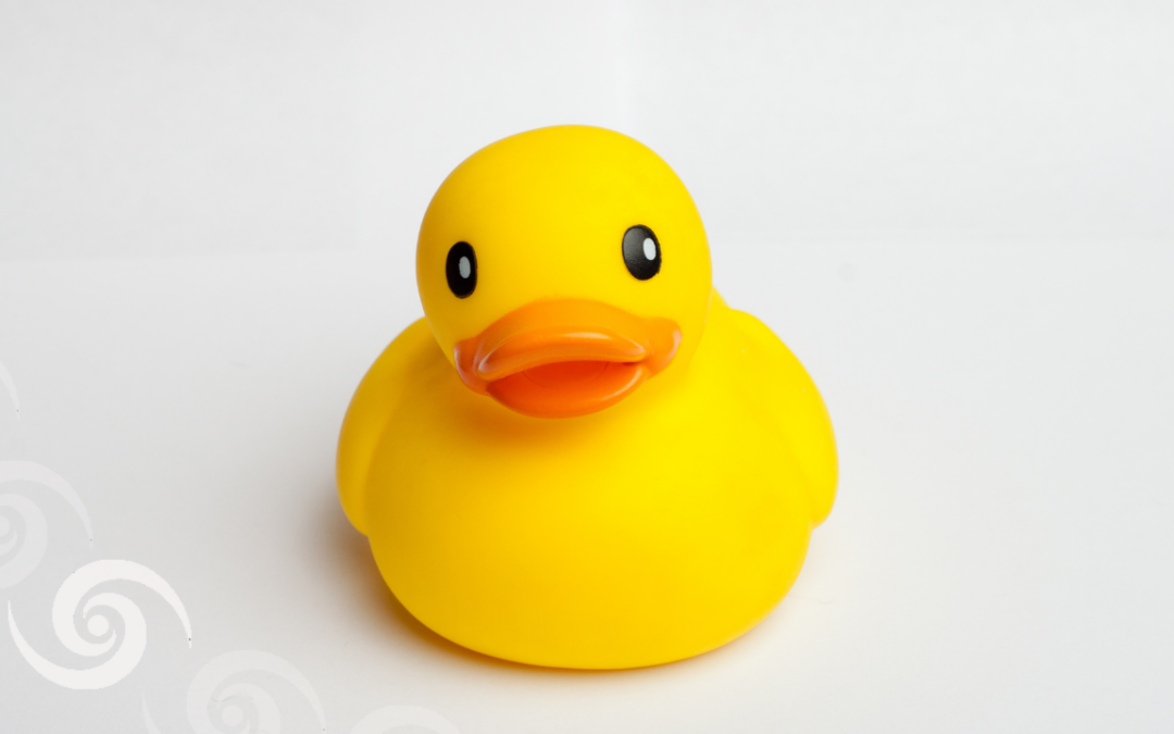 Wenn Minimalismus klingt wie „Alle meine Entchen“