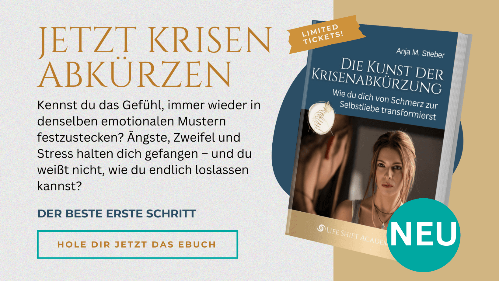 buch-diekunstderkrisenabkürzung