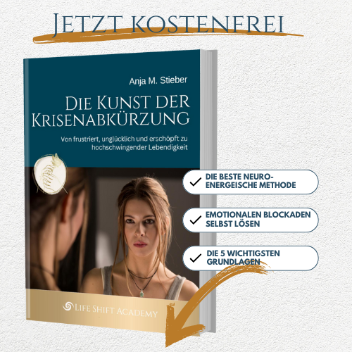 kostenfreies-ebook-diekunstderkrisenabkürzung eBook Die Kunst der Krisenabkuerzung